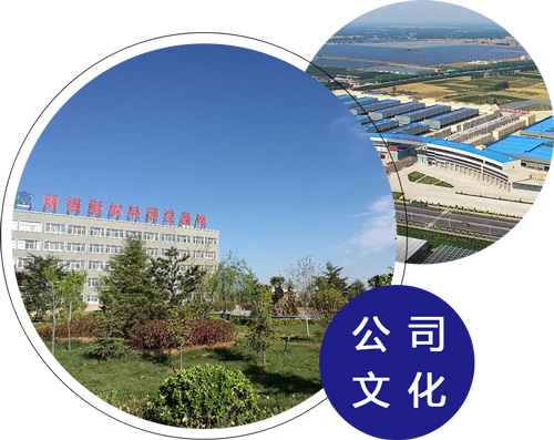 企業文化